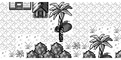 魔教一带 · 少寺村