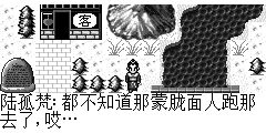 陆孤梵：都不知道那蒙胧面人跑那去了,哎… 赵梦雪：我们找村里人问问看吧.