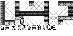智慧：接受我智慧的考验吧.