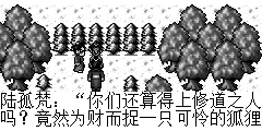 后山，陆孤梵开口