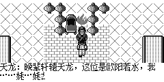 赵天鹏：某家姓赵，名天鹏，还未请教二位大名 天龙：晚辈轩辕天龙，这位是欧阳若水，我……妹……妹 赵天鹏：你就是接连打败嵩山高手的轩辕天龙！！！江湖传闻，有一神秘高人，年轻有为，武功高强，叫轩辕天龙，就是你！！ 天龙：赵大哥为何与嵩山的人打斗 赵天鹏：这个家伙作恶多端危害乡里，我特来教训他的 天龙：不瞒你说，嵩山掌门正在阴谋复活上古魔神蚩尤，试图运用他的力量称霸天下，我们要去五岳之巅阻止他的阴谋 赵天鹏：太好了，我跟你们一起去吧。嵩山这帮人的作为我早就看不顺眼了，平素里作威作福，鱼肉百姓 天龙：既然赵大哥愿意，我们求之不得呢 赵天鹏：好，我们一起上路吧