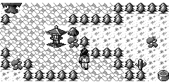 衡山 · 山路