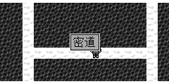 密道